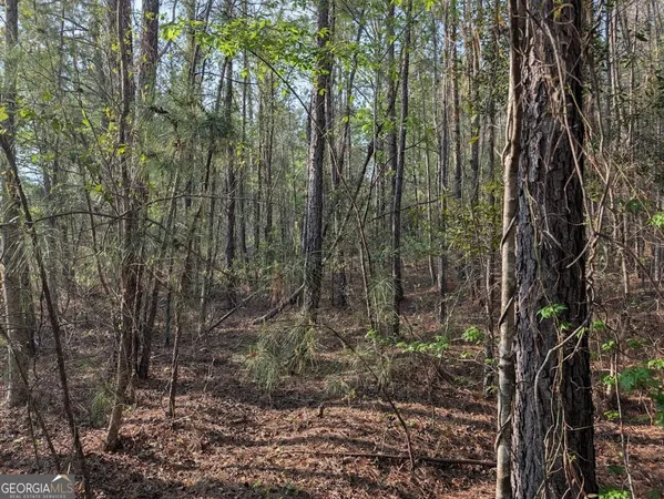 $60,000 | 0 Pollett Road, Unit LOT 23, Bartow, GA 30413