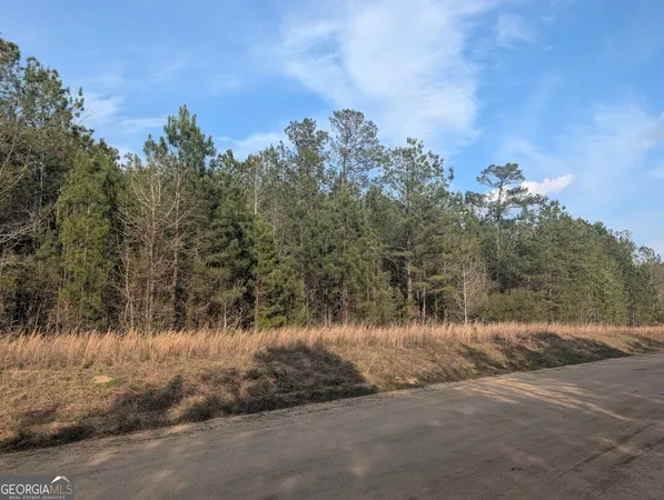 $60,000 | 0 Pollett Road, Unit LOT 23, Bartow, GA 30413