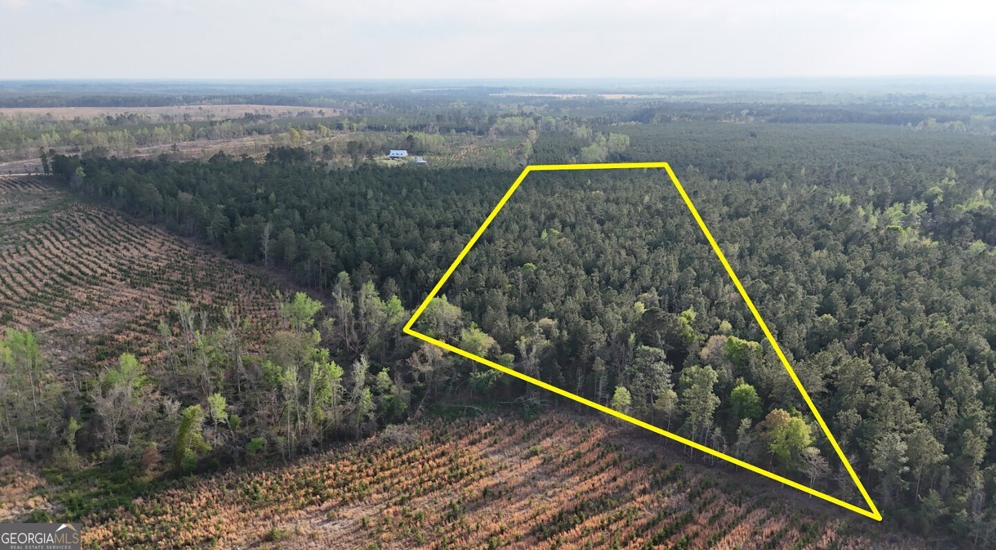 0 Pollett Road, Unit LOT 23 Bartow, GA 30413 - Photo 4 of 29