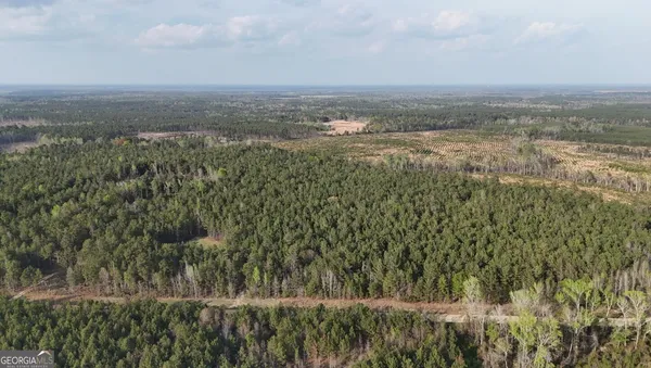 a view of a yard and mountain