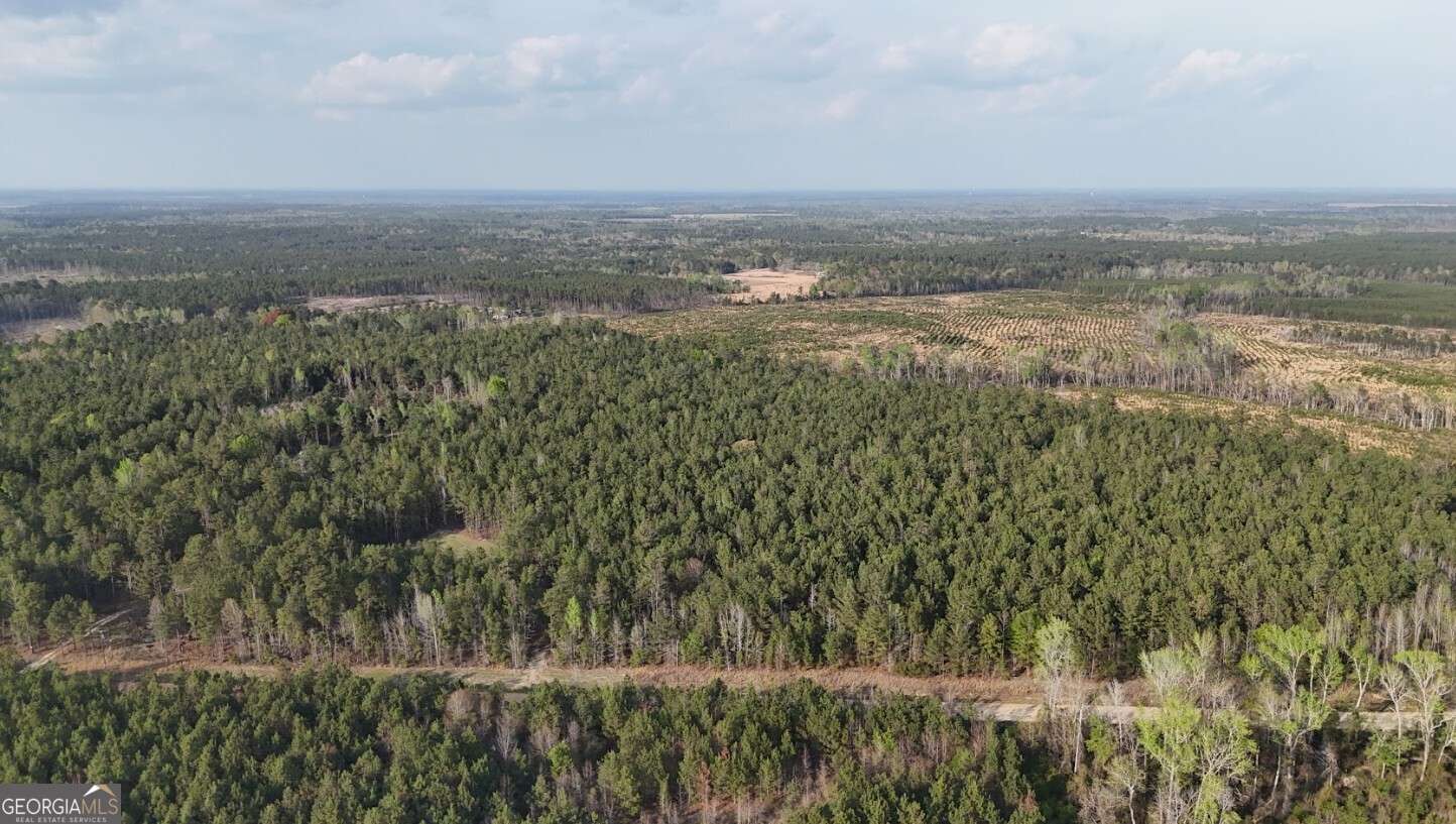 0 Pollett Road, Unit LOT 23 Bartow, GA 30413 - Photo 5 of 29