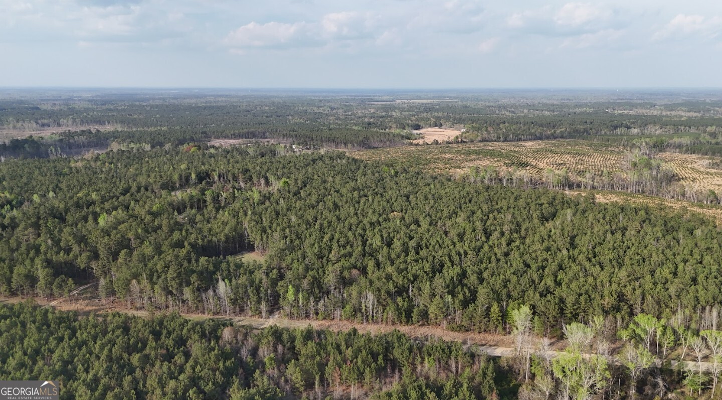 0 Pollett Road, Unit LOT 23 Bartow, GA 30413 - Photo 6 of 29