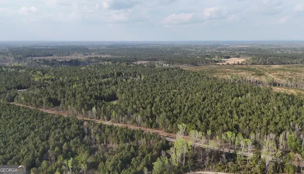 a view of a city with lush green forest