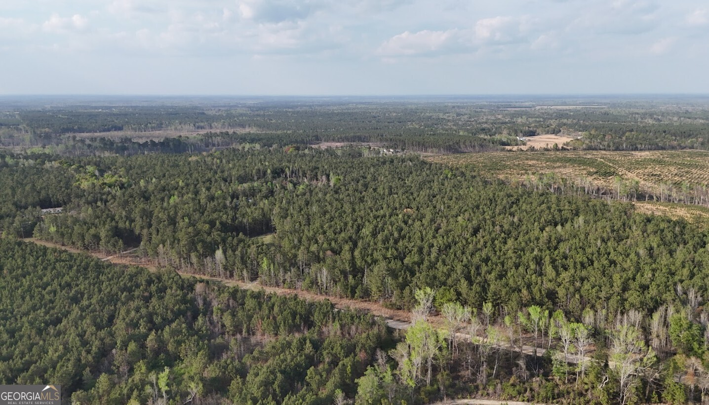 0 Pollett Road, Unit LOT 23 Bartow, GA 30413 - Photo 7 of 29