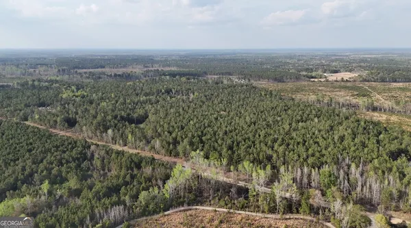 a view of a big yard with lots of bushes
