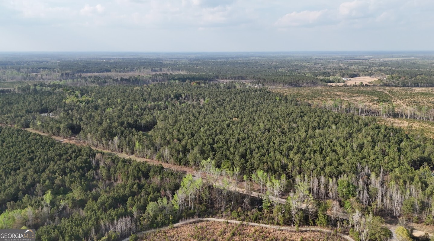 0 Pollett Road, Unit LOT 23 Bartow, GA 30413 - Photo 8 of 29