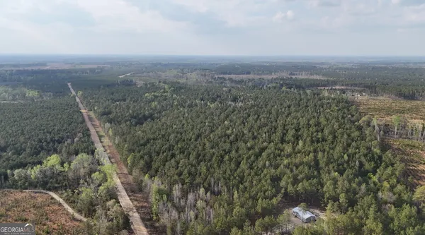 a view of a city with lush green forest