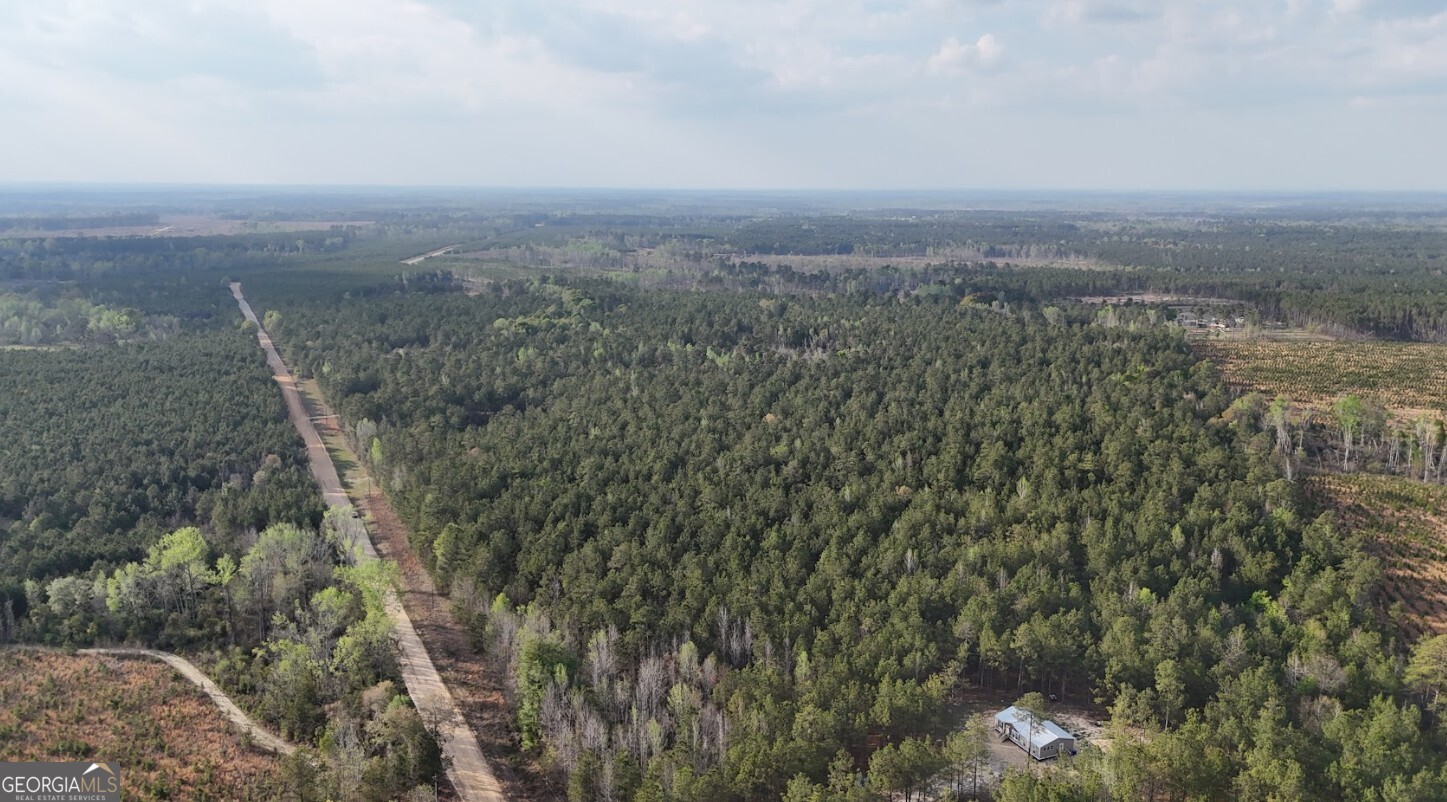 0 Pollett Road, Unit LOT 23 Bartow, GA 30413 - Photo 9 of 29