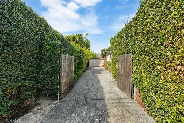 a view of a pathway of a garden