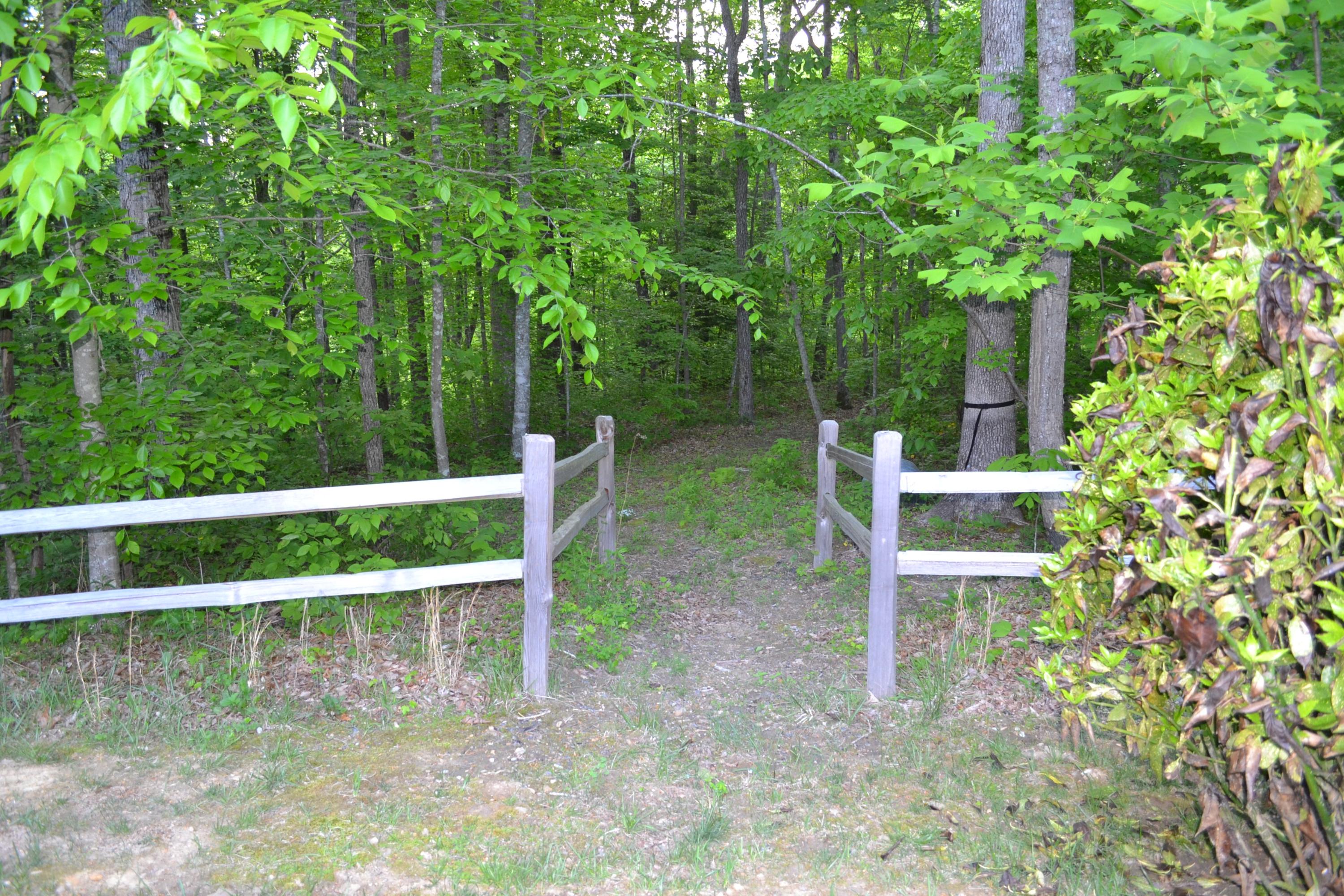192 Ridge Lane Crossville, TN 38571 - Photo 31 of 39 DSC_0380