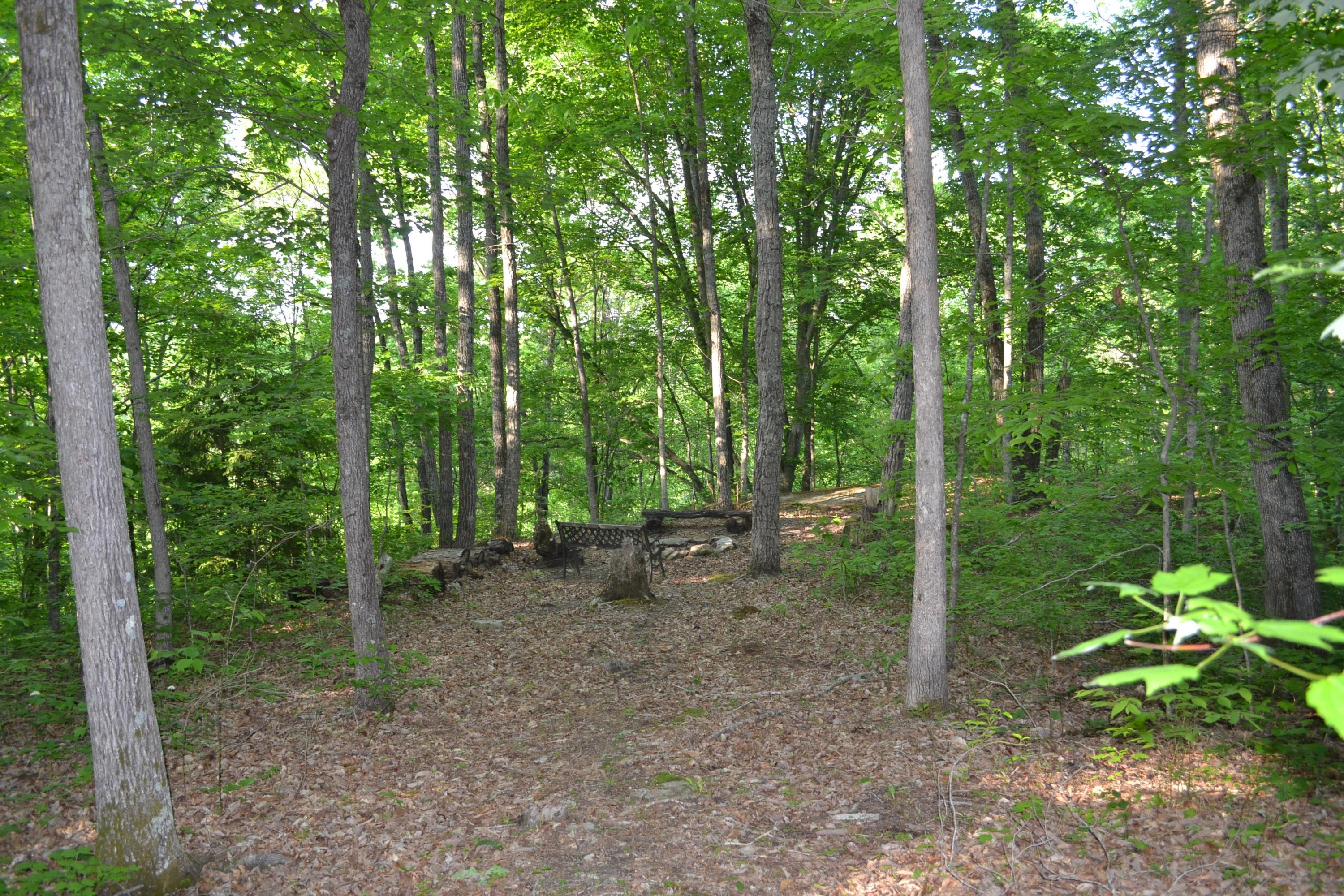 192 Ridge Lane Crossville, TN 38571 - Photo 32 of 39 DSC_0375