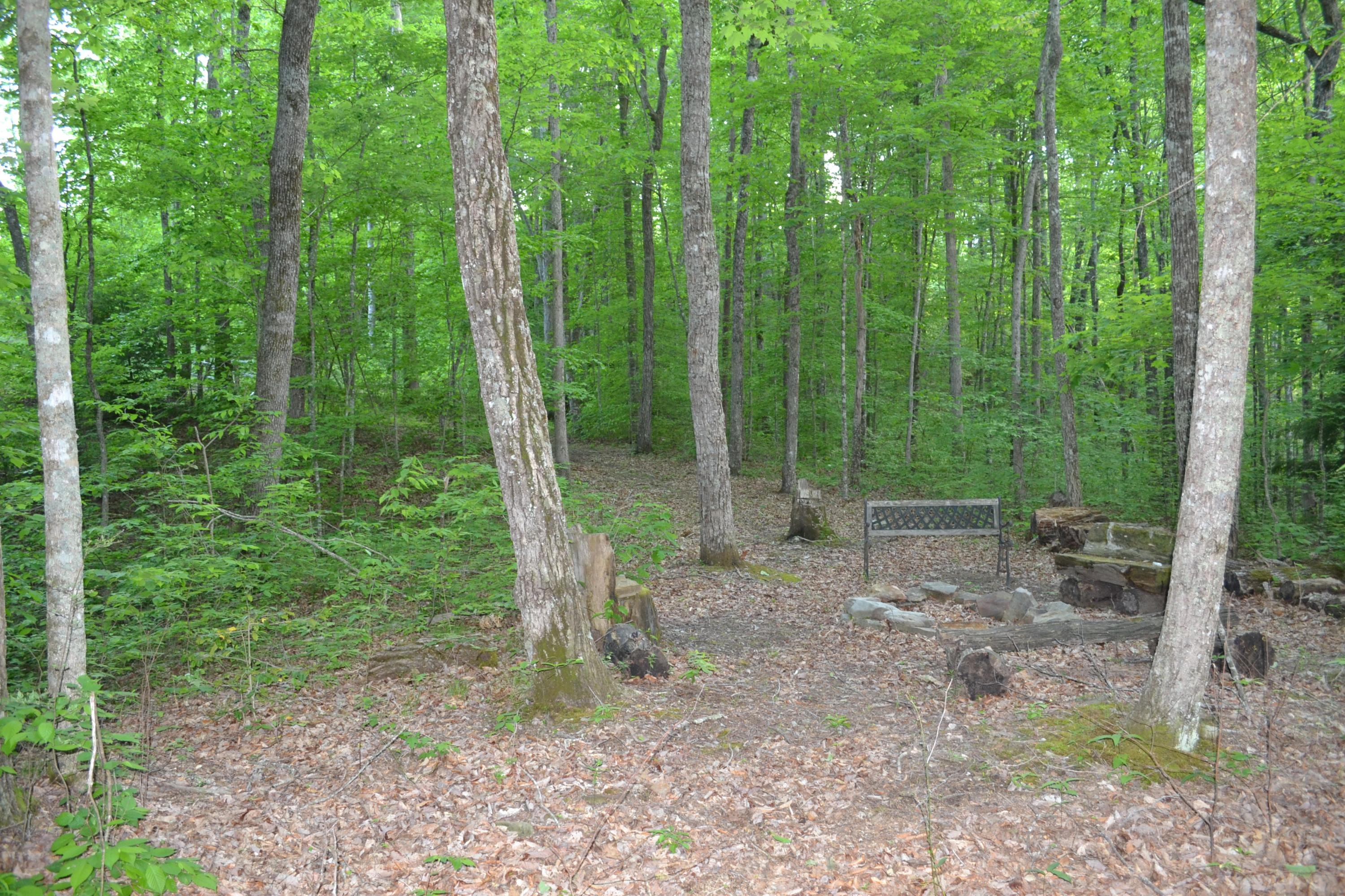 192 Ridge Lane Crossville, TN 38571 - Photo 34 of 39 DSC_0378