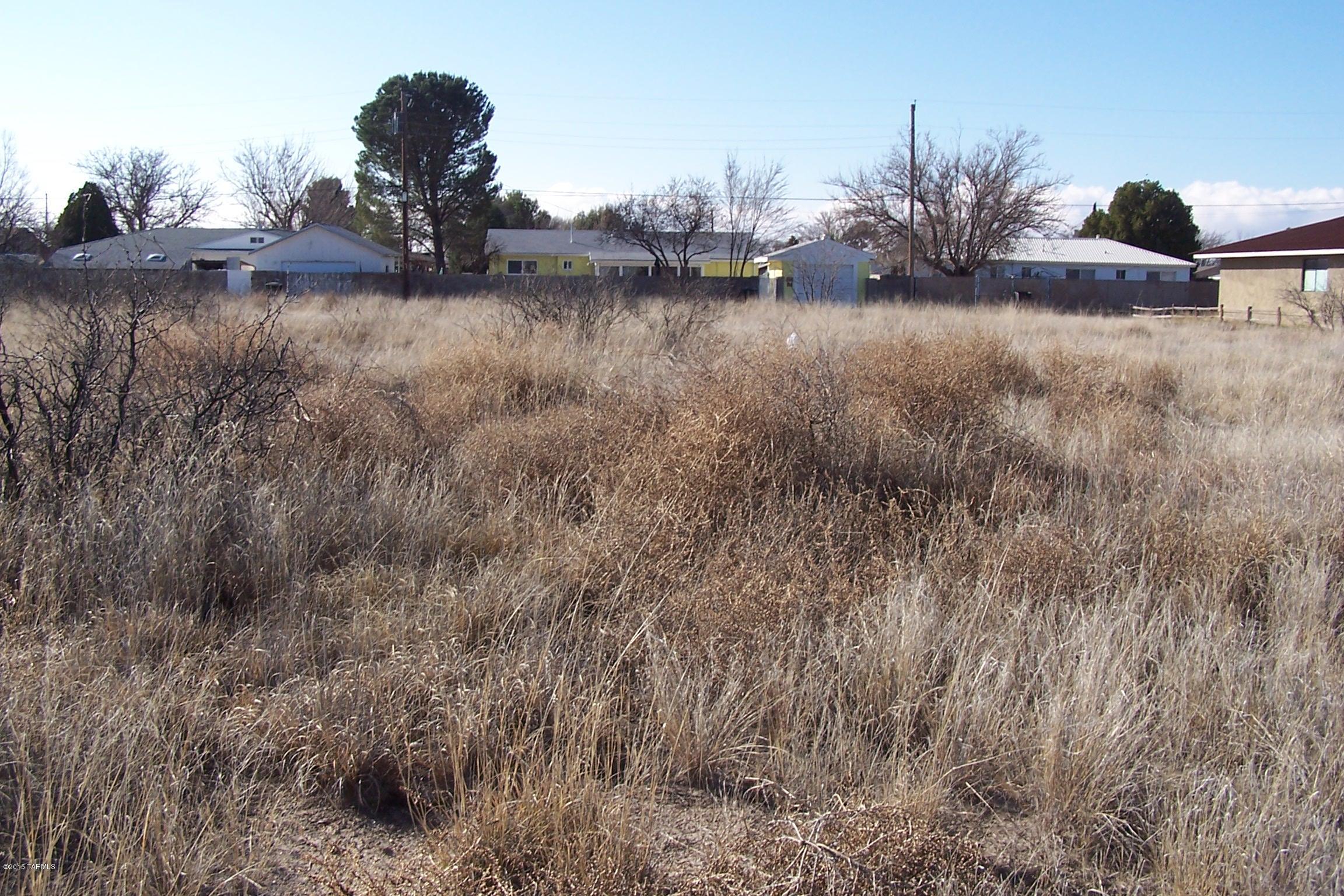 53-ac West Airport Road Willcox, AZ 85643 - Photo 7 of 7