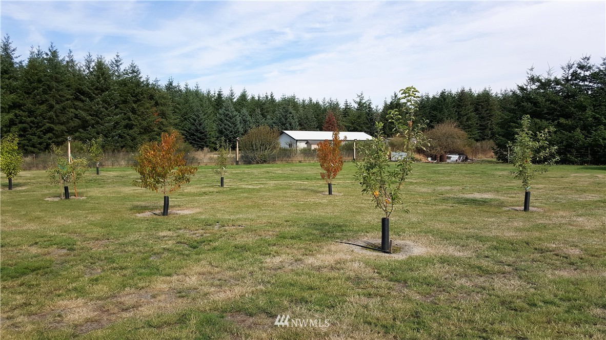 17912 Michelles Lane Southwest Rochester, WA 98579 - Photo 4 of 19