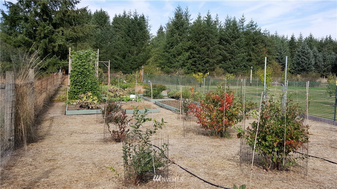 17912 Michelles Lane Southwest Rochester, WA 98579 - Photo 5 of 19
