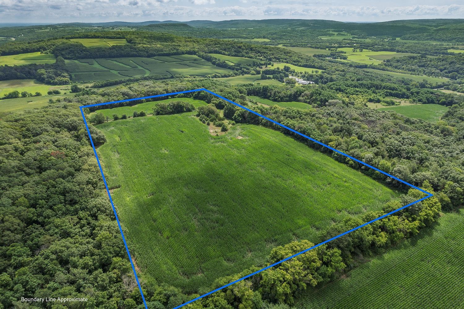 20-acres Grosklaus Road Baraboo, WI 53913 - Photo 1 of 1 Gallery Image 1