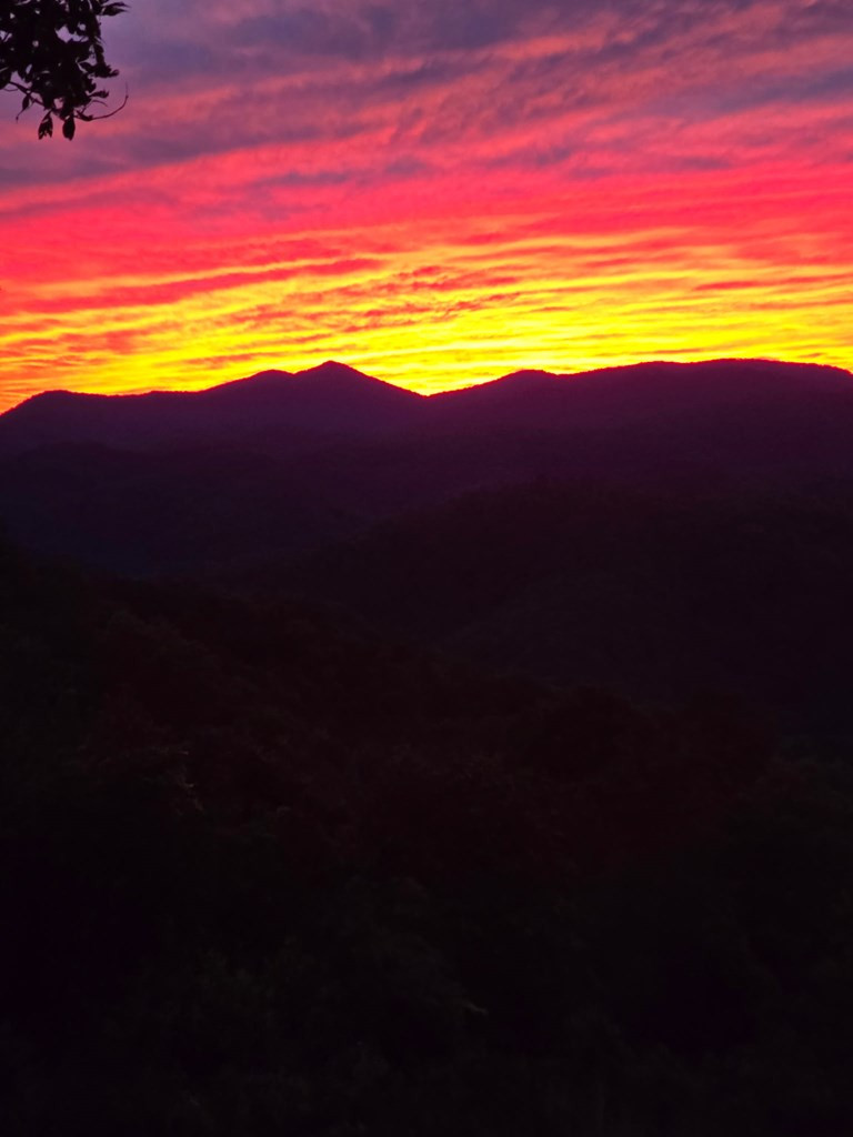 795 Porter Field Gap Road Robbinsville, NC 28771 - Photo 74 of 105