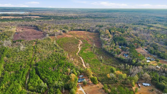 $275,000 | Tbd North Tbd N Old River Road, Pamplico, SC 29583