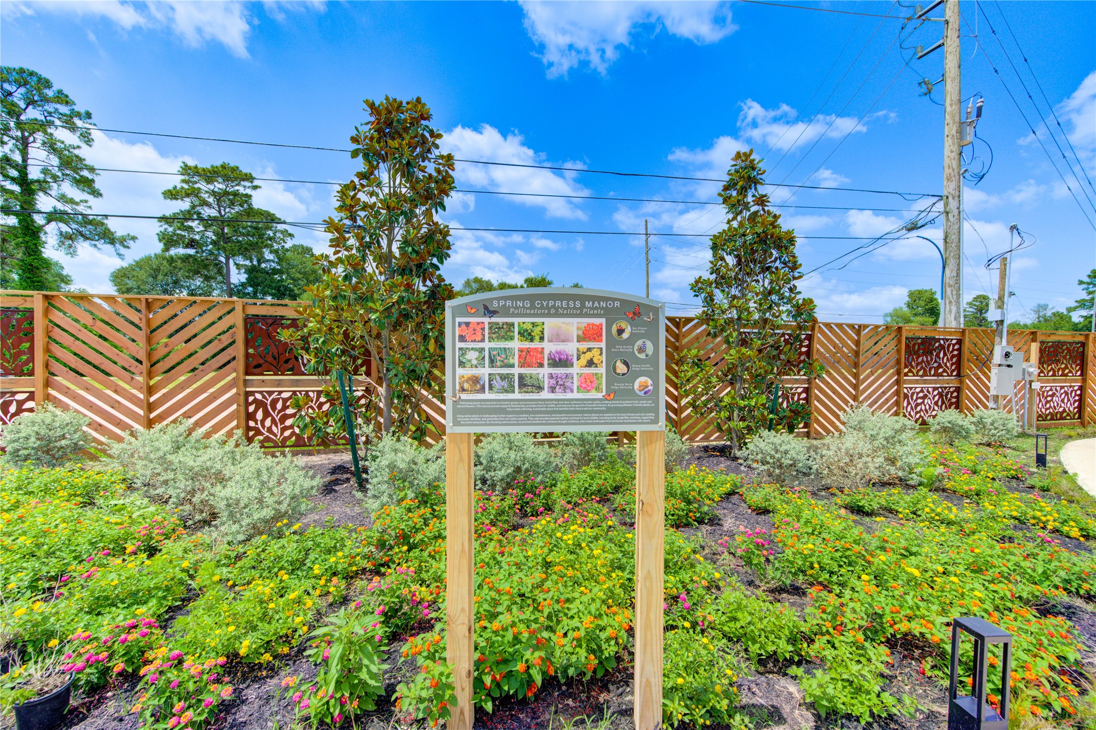 13115 Wild Orchid Lane Cypress, TX 77429 - Photo 45 of 48 a view of garden
