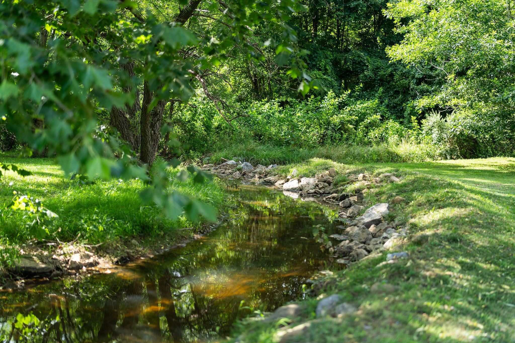 a view of a lush green space