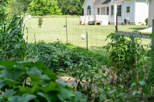 a view of a lake with a house