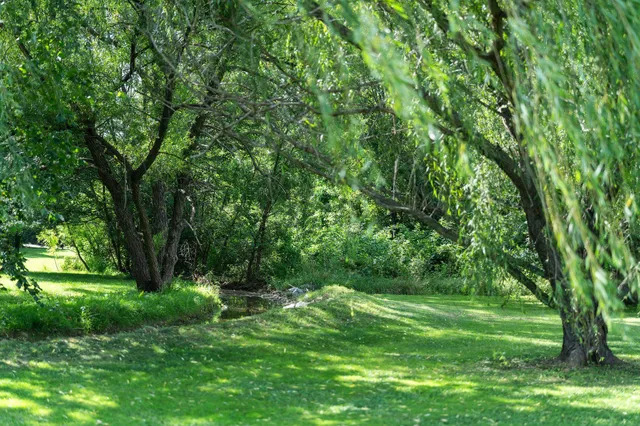 a view of outdoor space