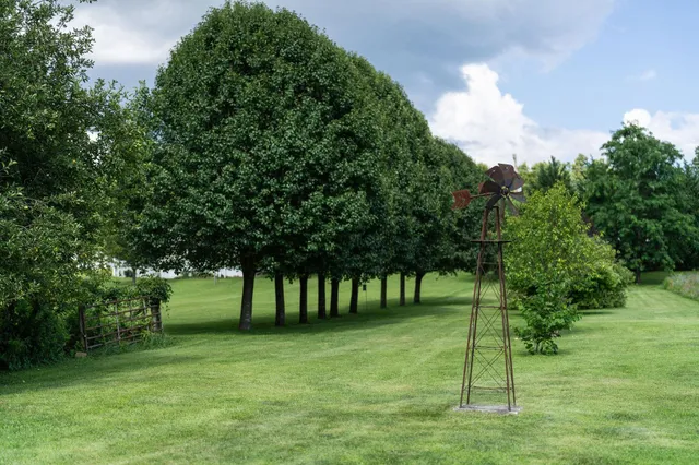 a view of green field