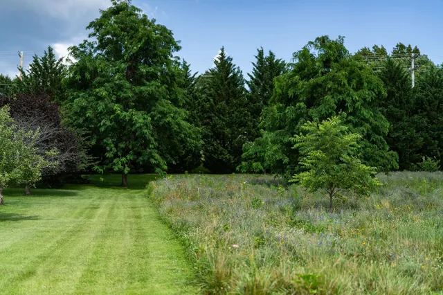 a view of yard with green space
