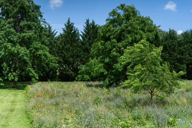 a view of an outdoor space and a yard