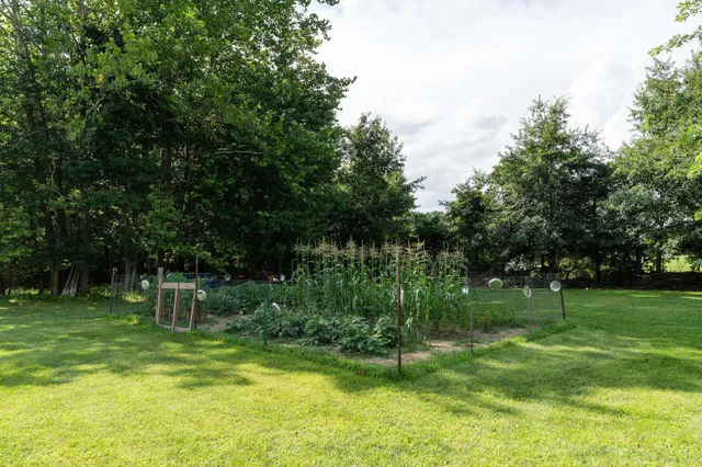 a backyard of a house with plants and large trees