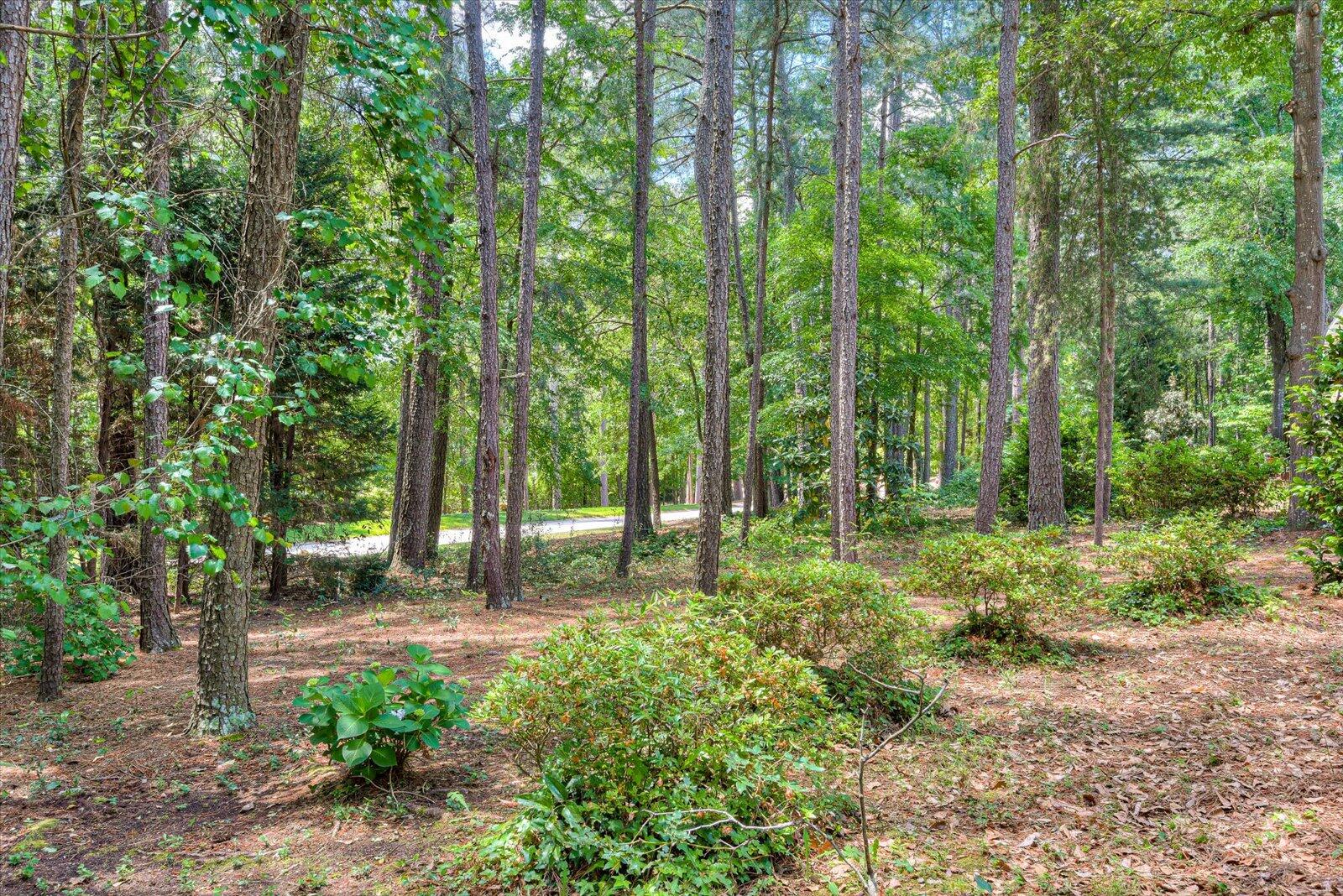 222 Boxwood Road Aiken, SC 29803 - Photo 34 of 34
