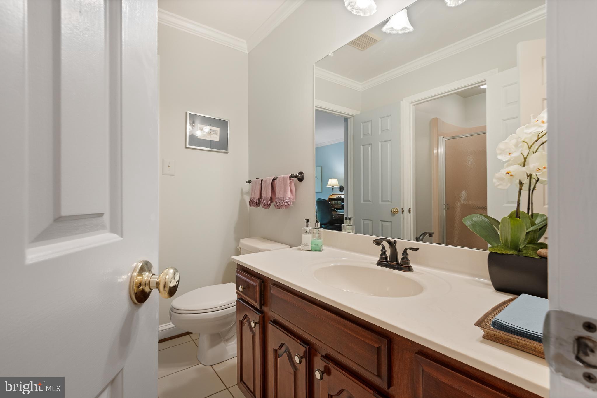11301 Crossing Glen Court Potomac, MD 20854 - Photo 56 of 136 a bathroom with a sink a toilet and mirror