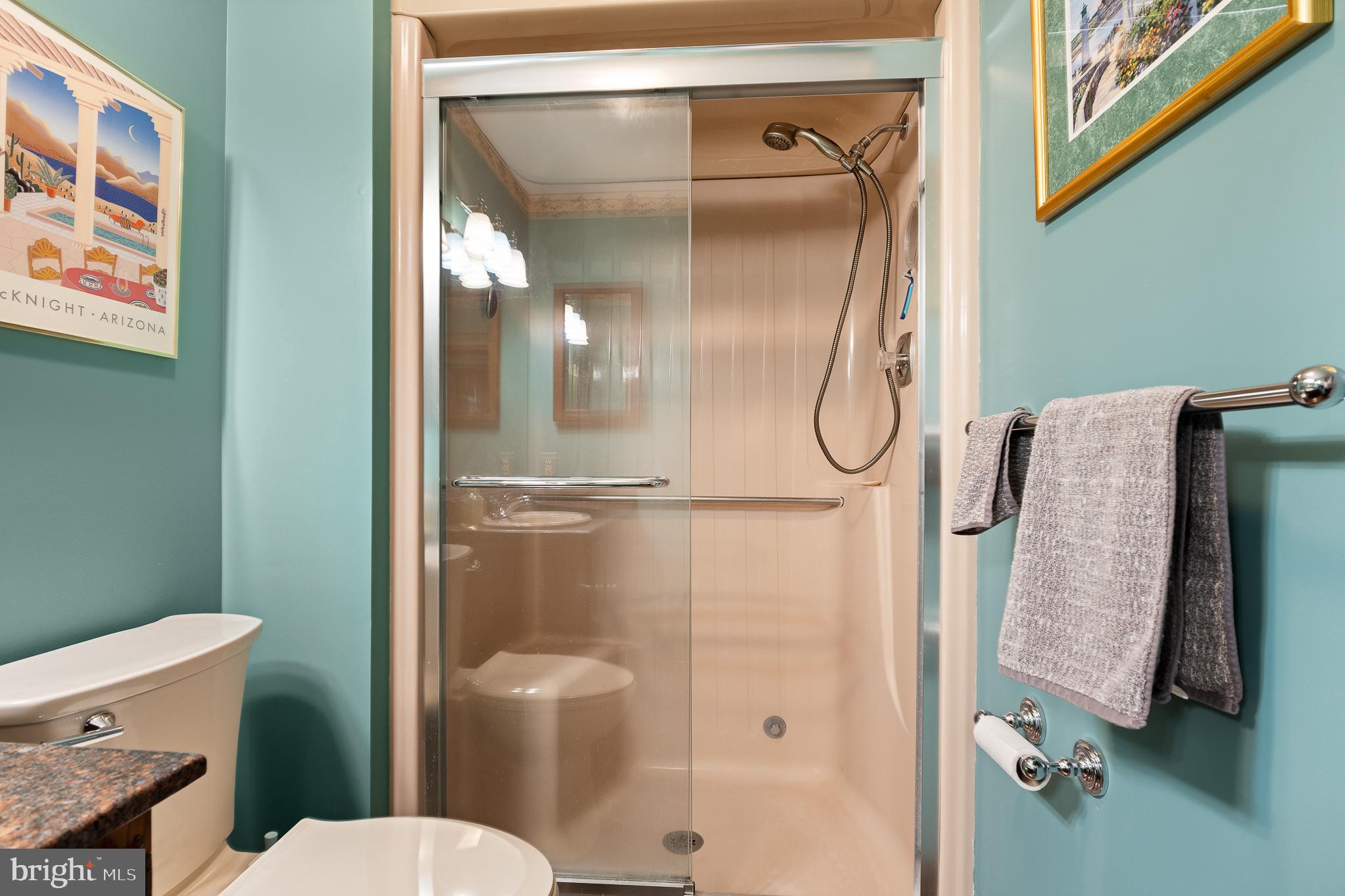 11301 Crossing Glen Court Potomac, MD 20854 - Photo 83 of 136 a bathroom with a glass shower door