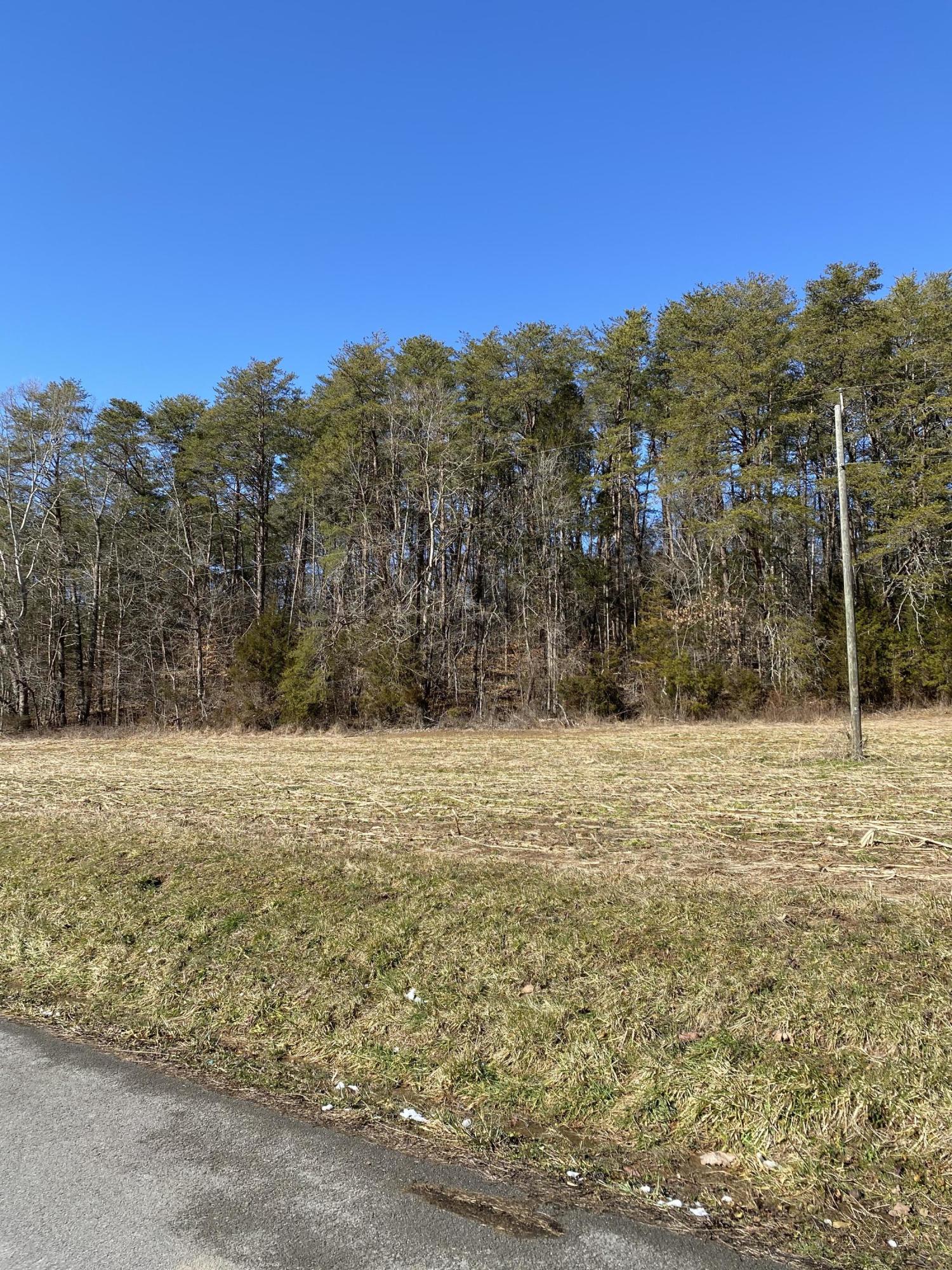 0 Dale Road Powder Springs, TN 37848 - Photo 4 of 17 IMG_9832