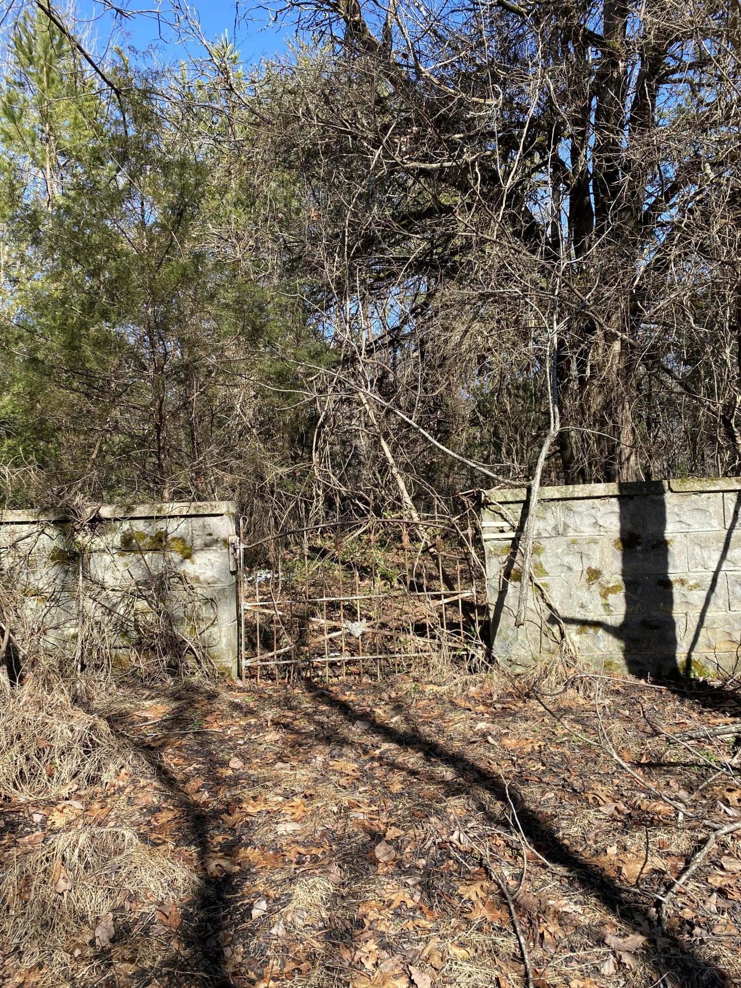 0 Dale Road Powder Springs, TN 37848 - Photo 5 of 17 IMG_9816 (2)