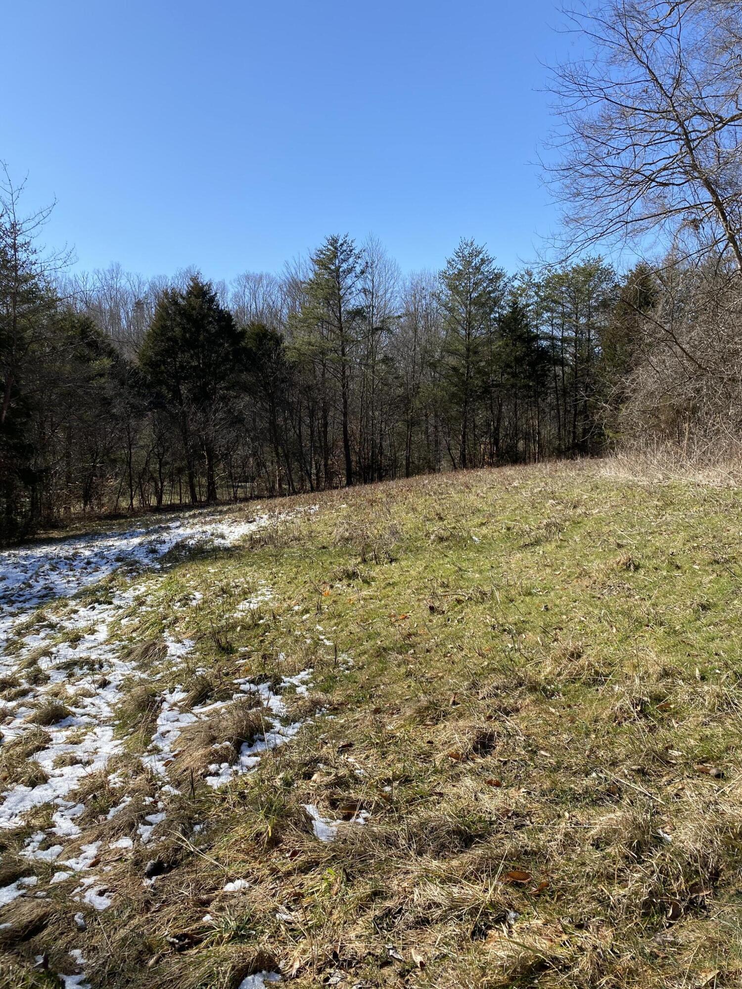 0 Dale Road Powder Springs, TN 37848 - Photo 8 of 17 IMG_9818