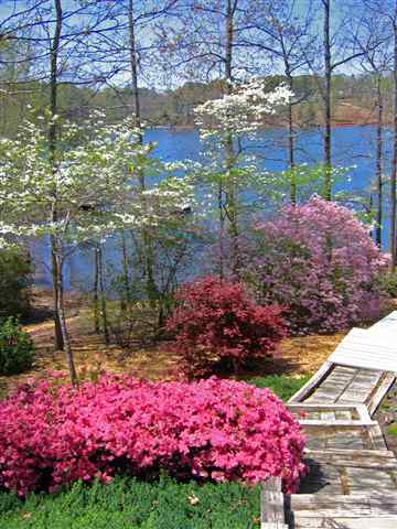 23072 McDonald Point Road, Unit BIG WATER VIEWS MOTIVATE Seneca, SC 29672 - Photo 3 of 25