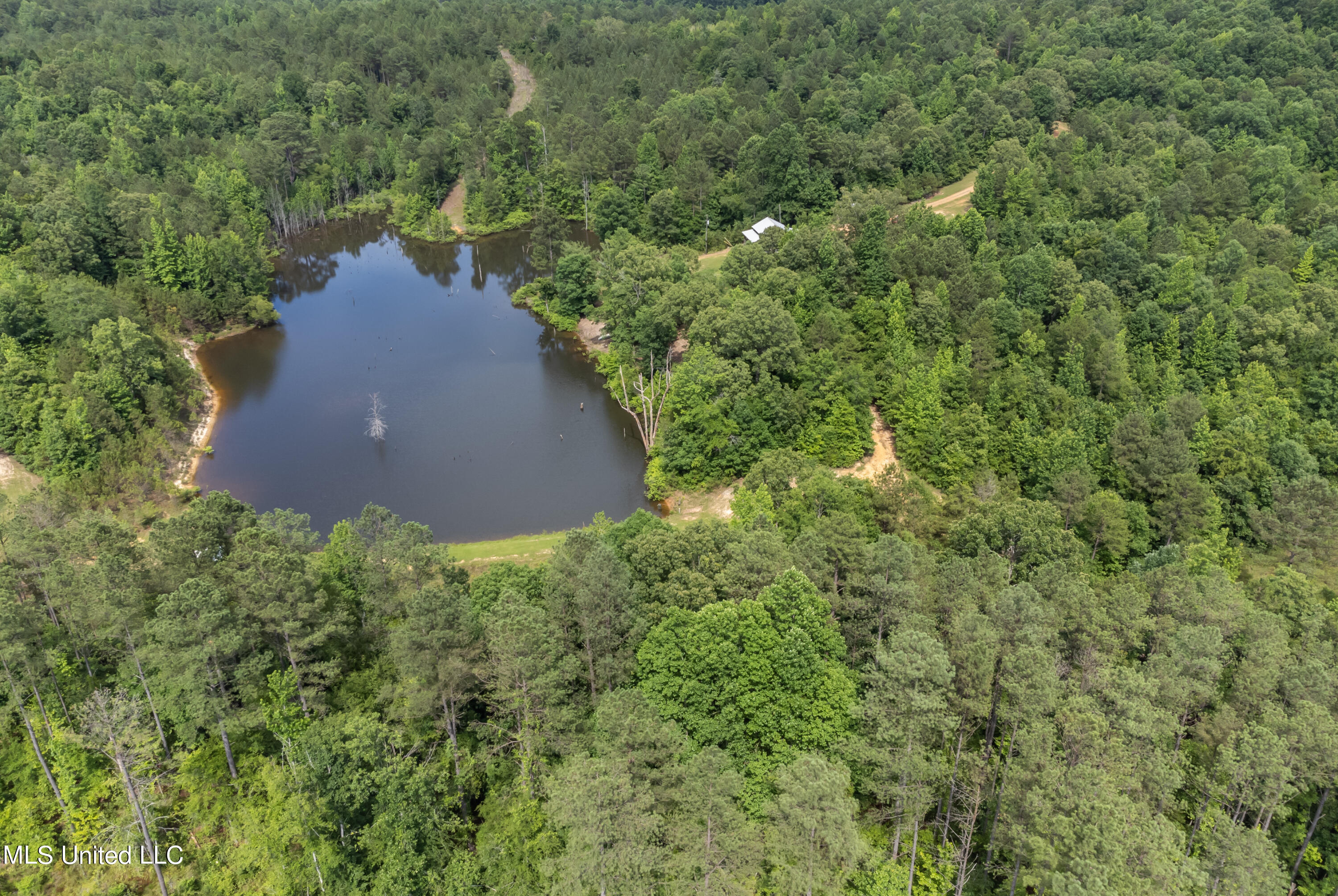 271 Socrates Road Kilmichael, MS 39747 - Photo 11 of 50 Socrates Road Cabin and Land drone-38
