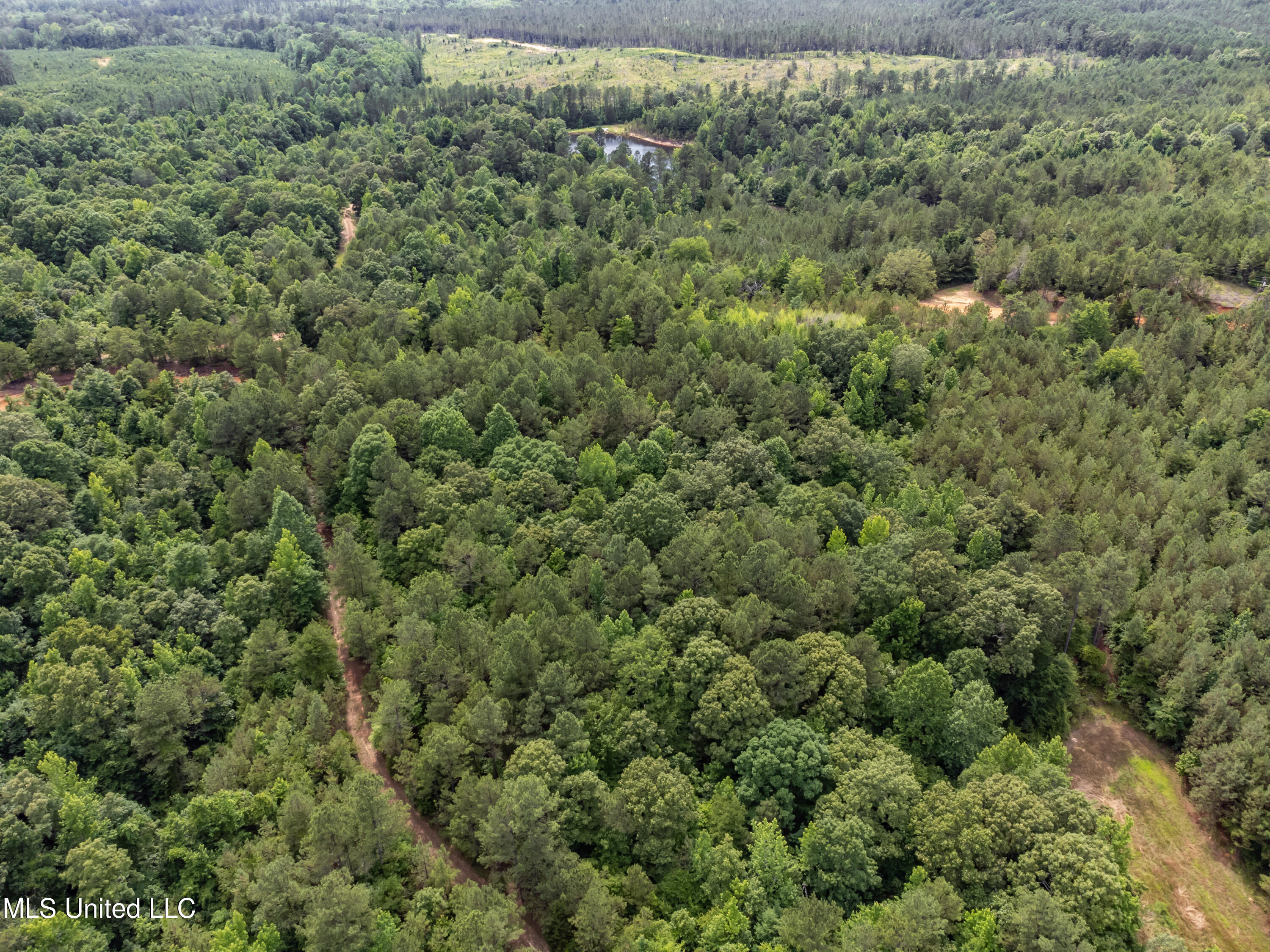 271 Socrates Road Kilmichael, MS 39747 - Photo 4 of 50 Socrates Road Cabin and Land drone-18