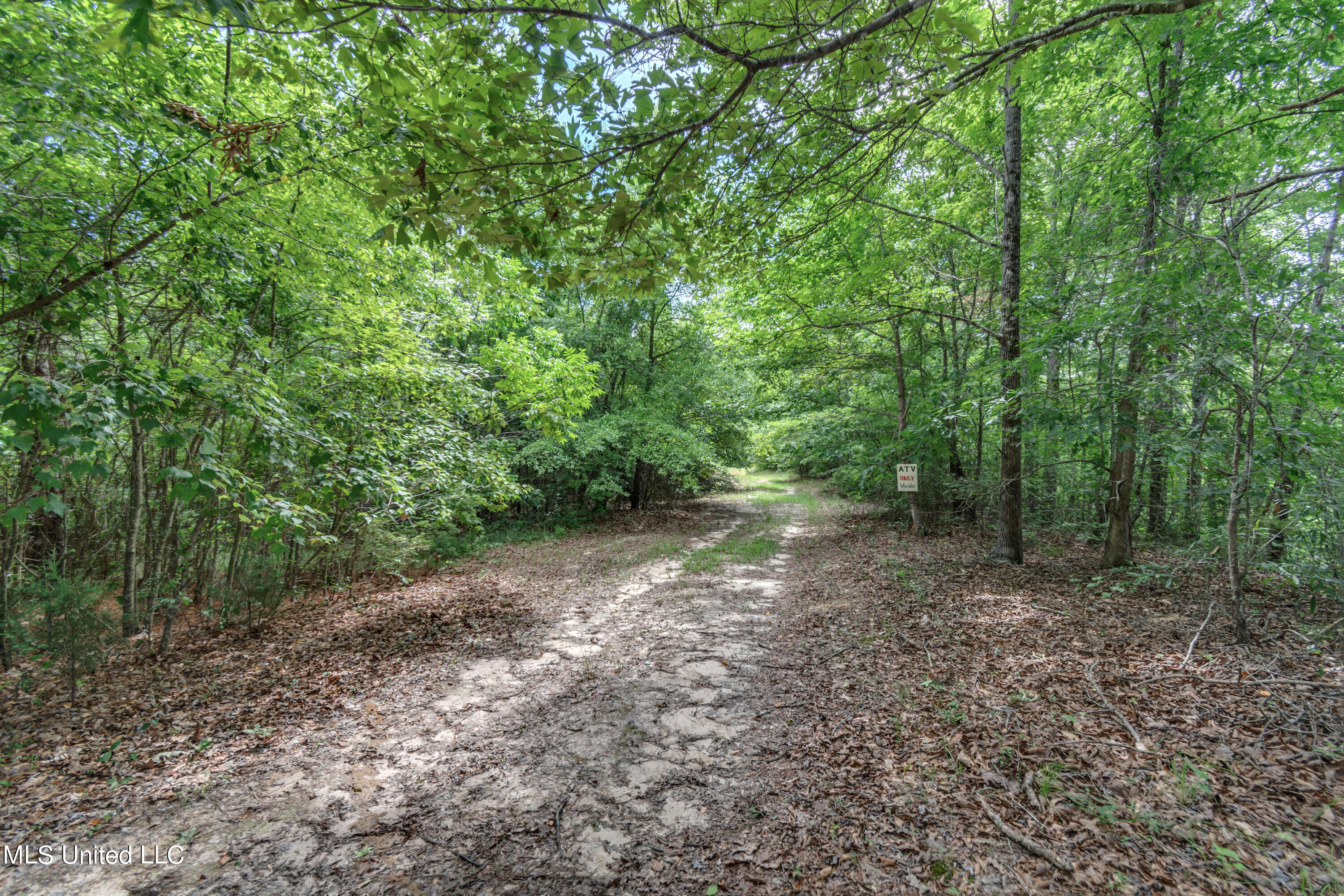 271 Socrates Road Kilmichael, MS 39747 - Photo 47 of 50 Socrates Road Cabin and Land-46
