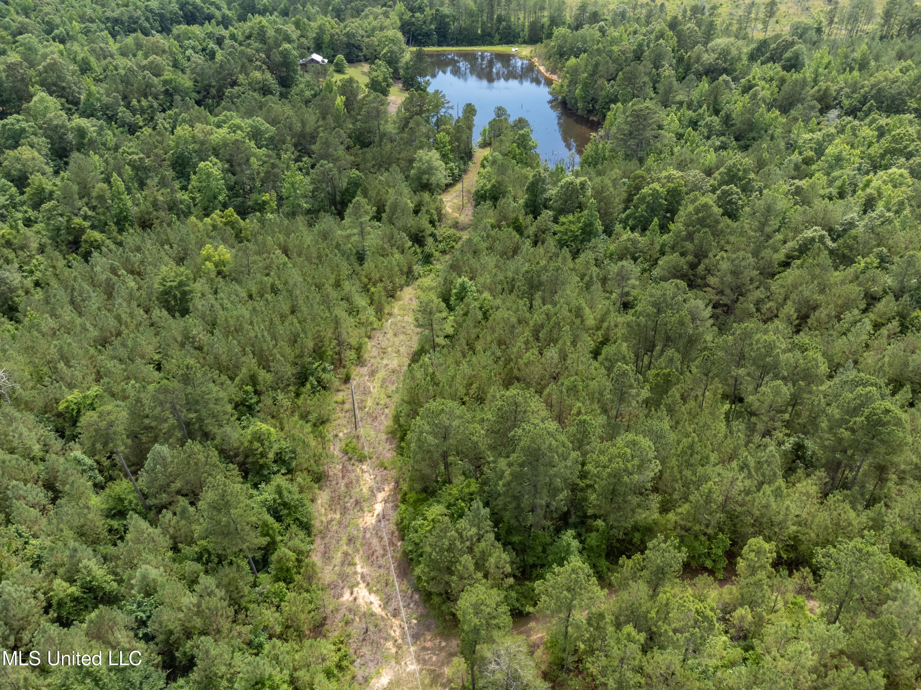 271 Socrates Road Kilmichael, MS 39747 - Photo 5 of 50 Socrates Road Cabin and Land drone-13