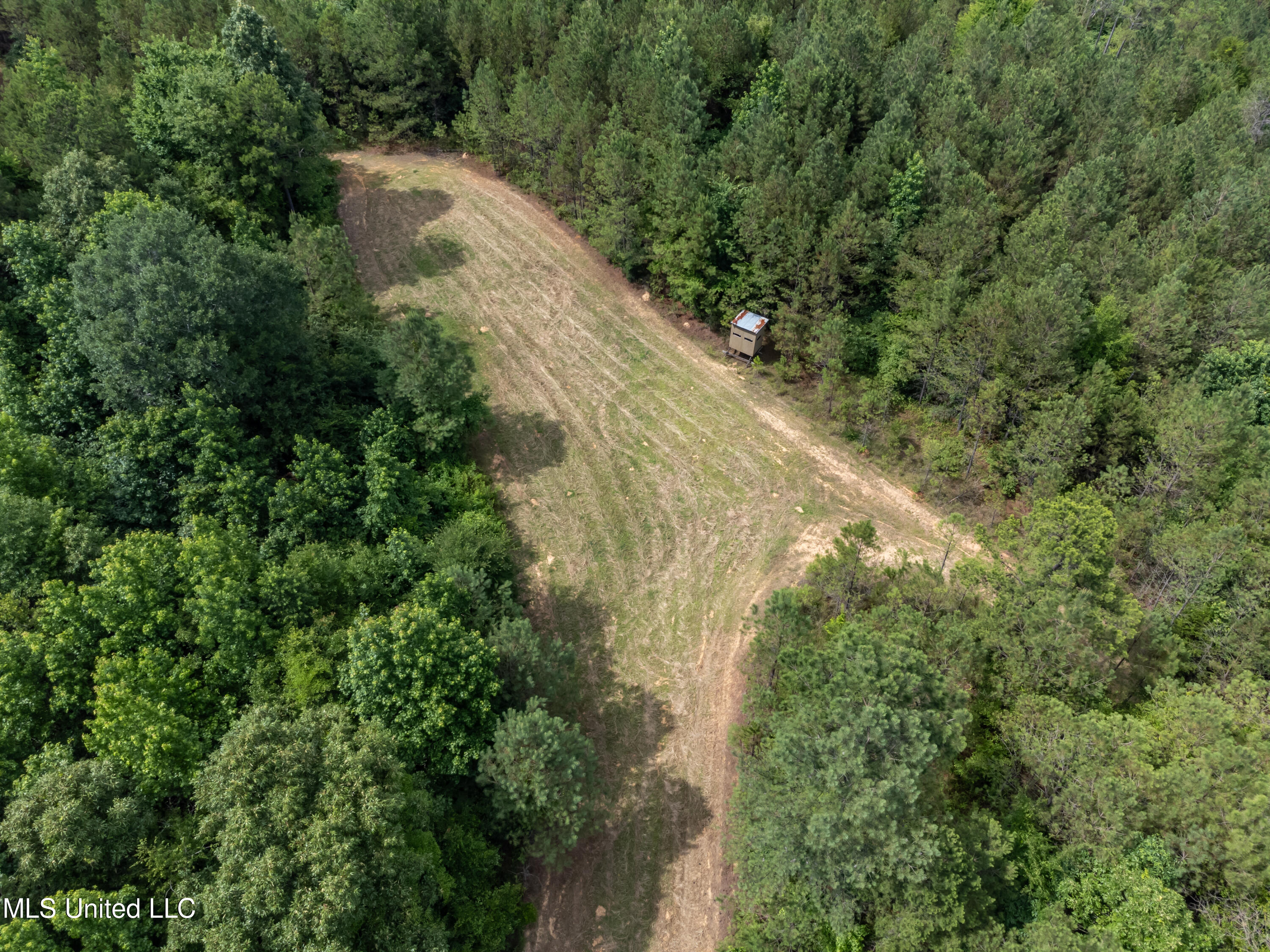 271 Socrates Road Kilmichael, MS 39747 - Photo 6 of 50 Socrates Road Cabin and Land drone-10