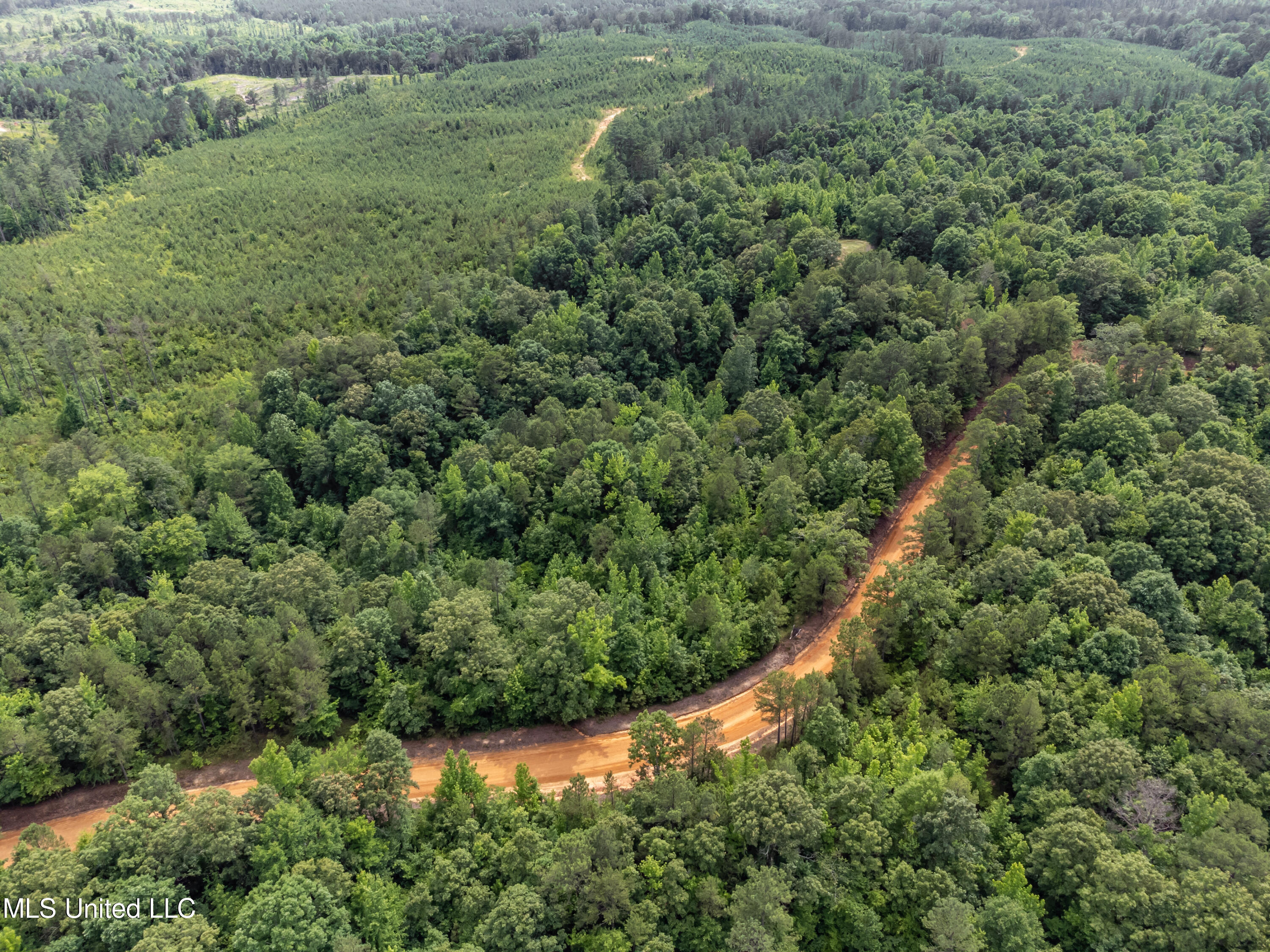 271 Socrates Road Kilmichael, MS 39747 - Photo 7 of 50 Socrates Road Cabin and Land drone-21