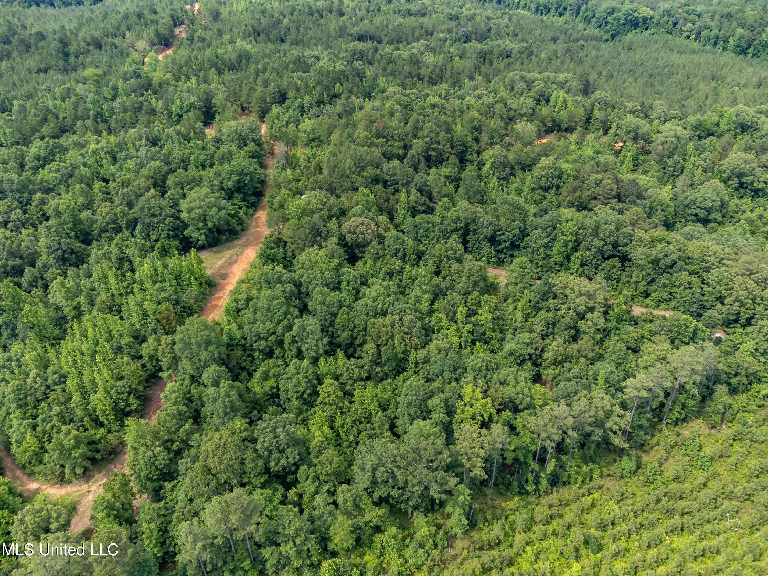 271 Socrates Road Kilmichael, MS 39747 - Photo 8 of 50 Socrates Road Cabin and Land drone-29