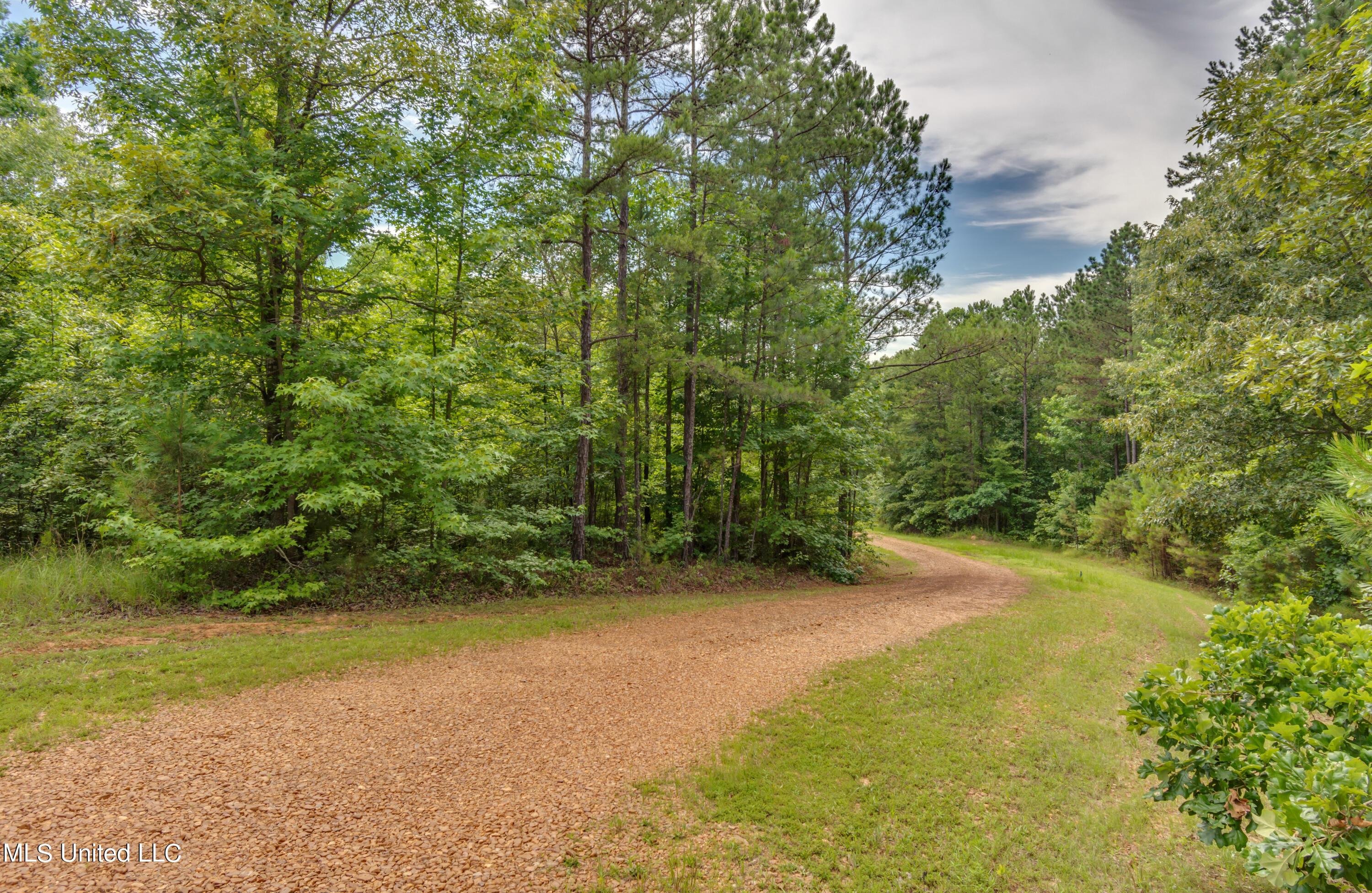 271 Socrates Road Kilmichael, MS 39747 - Photo 9 of 50 Socrates Road Cabin and Land-3