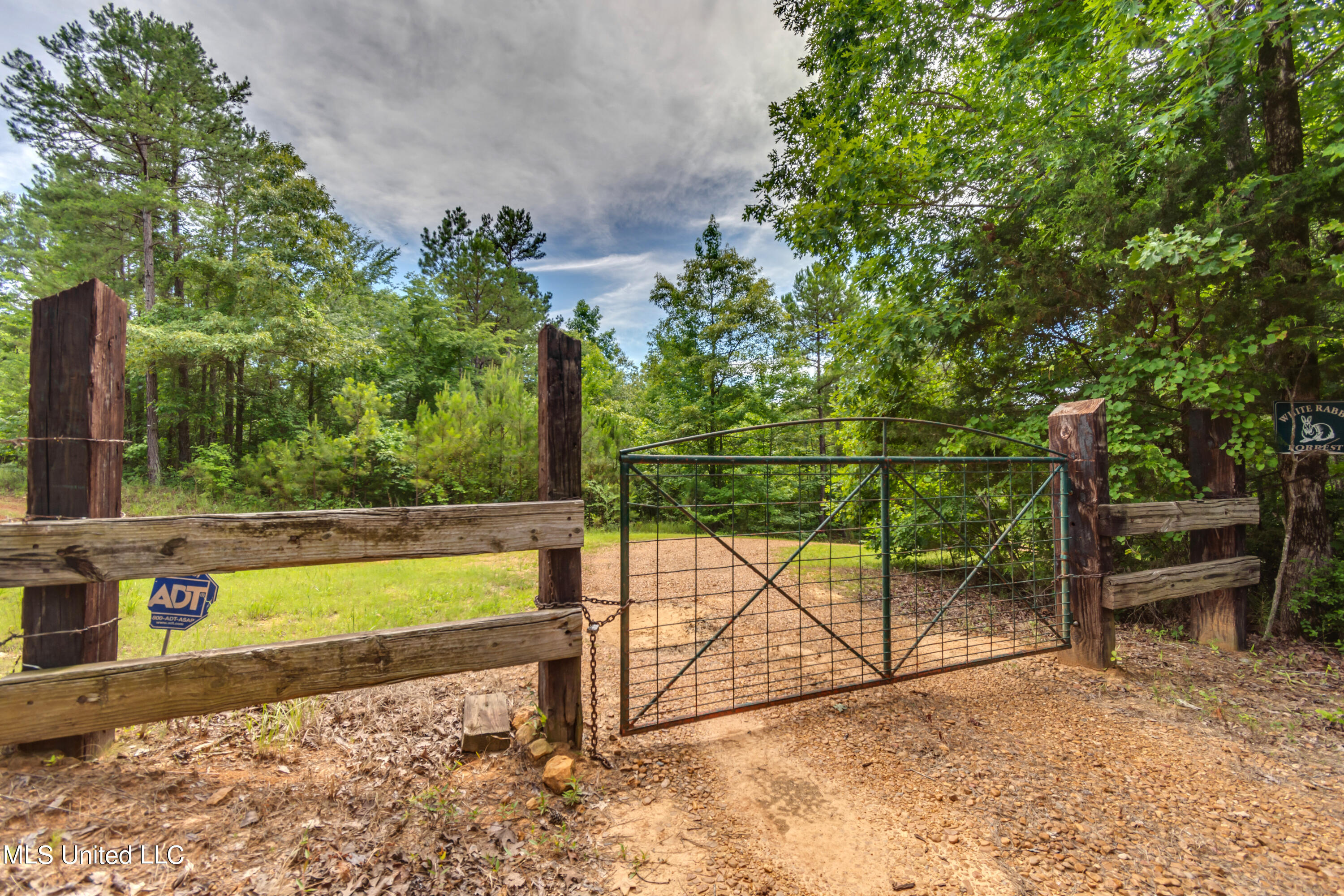 271 Socrates Road Kilmichael, MS 39747 - Photo 10 of 50 Socrates Road Cabin and Land