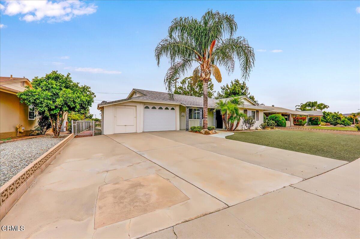 26204 Ridgemoor Road Menifee, CA 92586 - Photo 3 of 35 a house with palm tree in front of it