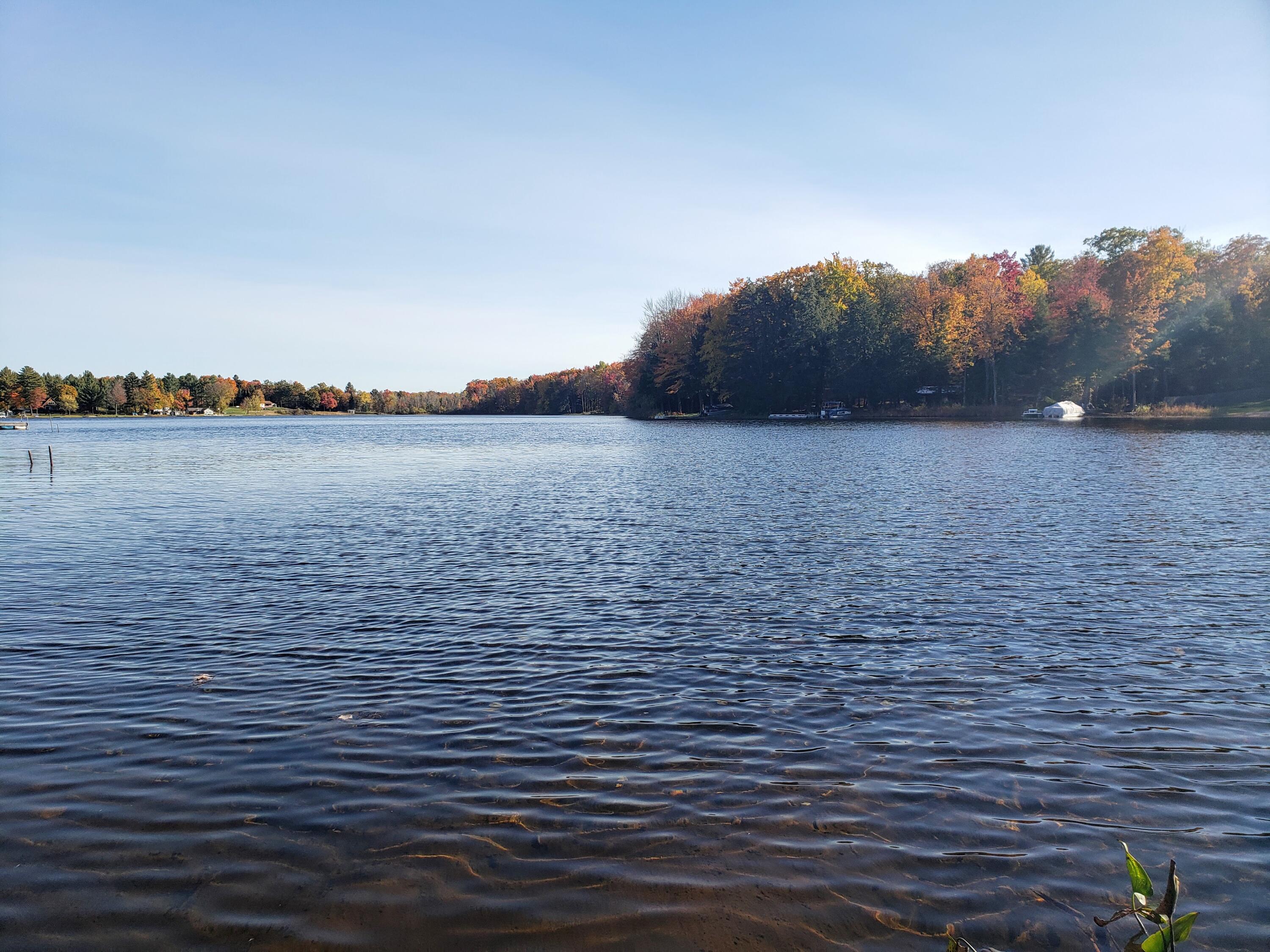 20308 Lakeview Road Tustin, MI 49688 - Photo 34 of 39 Late Summer