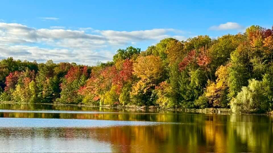 20308 Lakeview Road Tustin, MI 49688 - Photo 35 of 39 Autumn Color