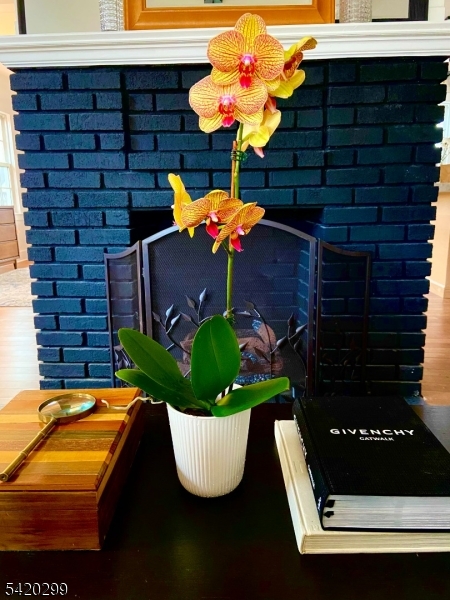 3 Laurel Place Glen Ridge, NJ 07028 - Photo 3 of 4